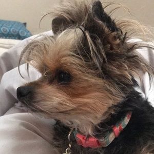 Meet your Posher, Patti